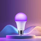 Xiaomi LED Smart Bulb (White and Color) - pametna žarulja u boji