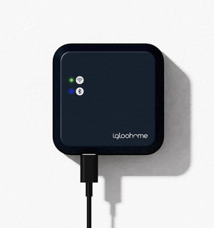 Igloohome Bridge pametni poveznik