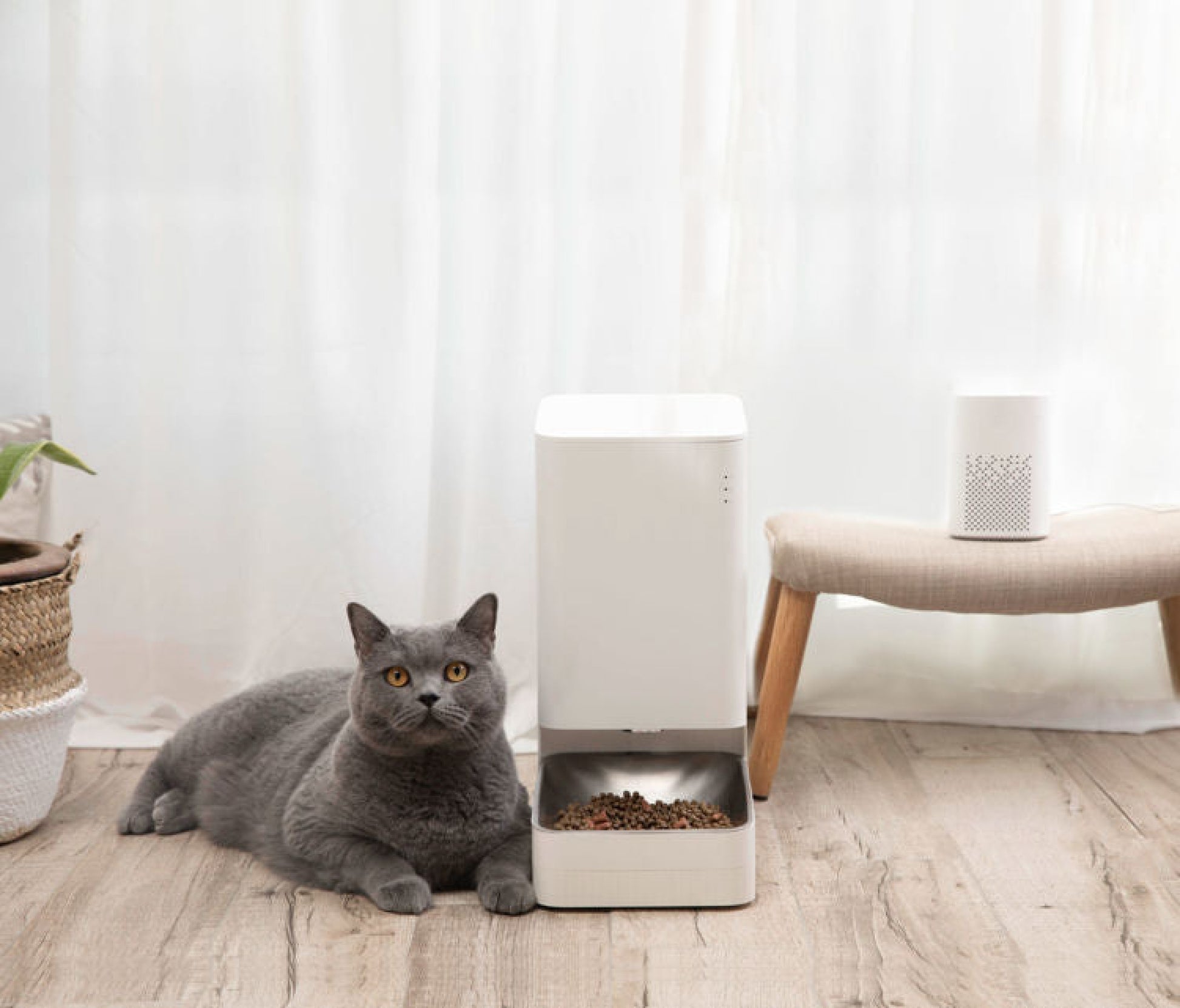 Xiaomi Smart Pet Food Feeder Hranilica Za Kune Ljubimce Kuni Ljubimci