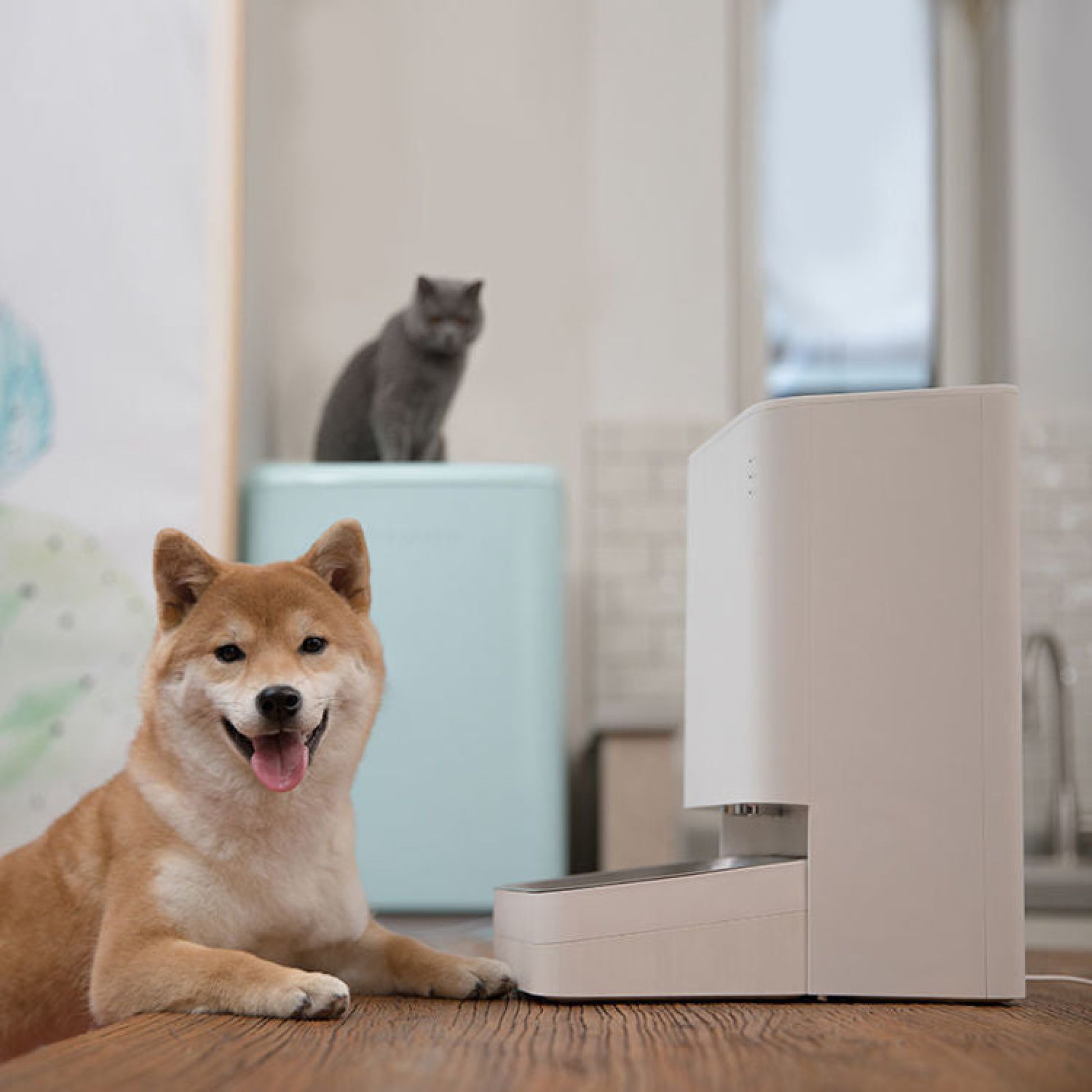 Xiaomi Smart Pet Food Feeder Hranilica Za Kune Ljubimce Kuni Ljubimci